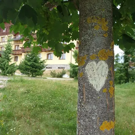 Erika * Vel'ka Lomnica